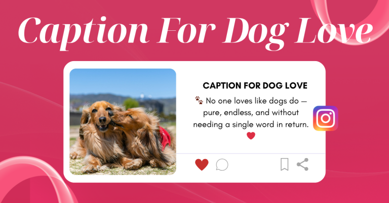 caption for dog love