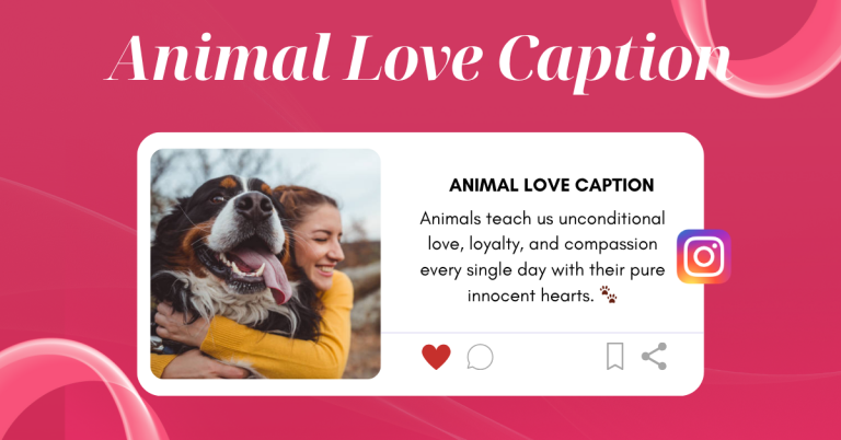 animal love caption