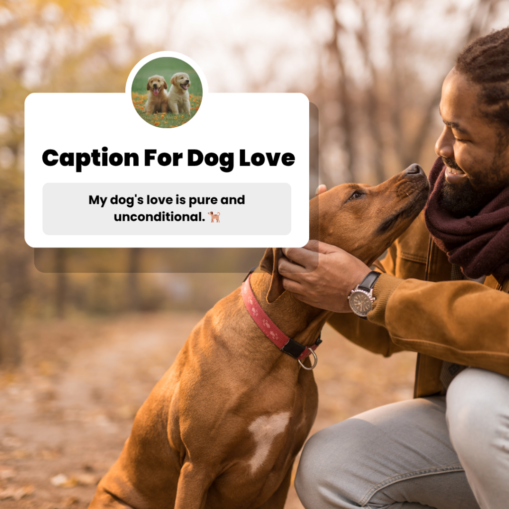 caption for dog love